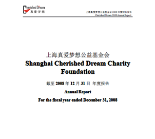 annual report 2008