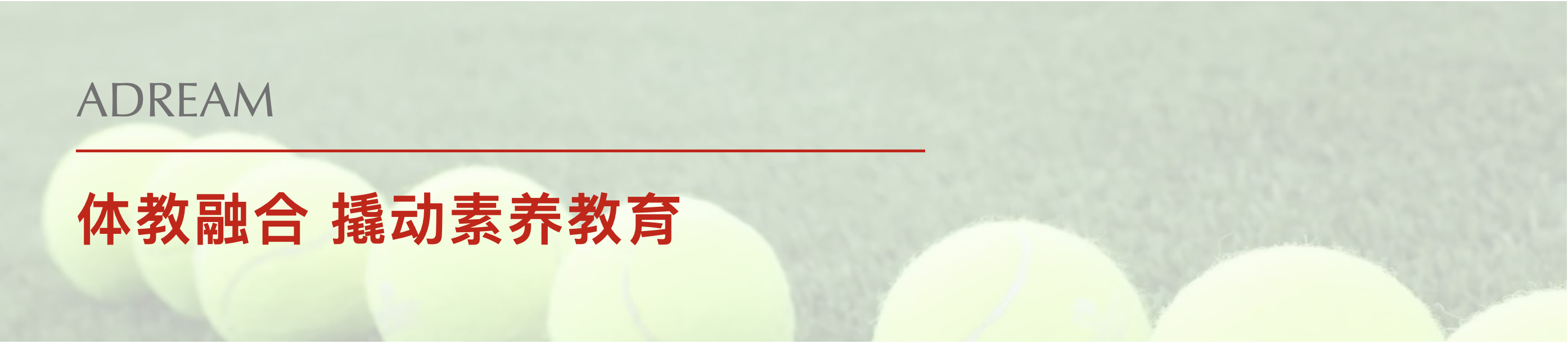 截屏2021-09-25 下午2.54.55